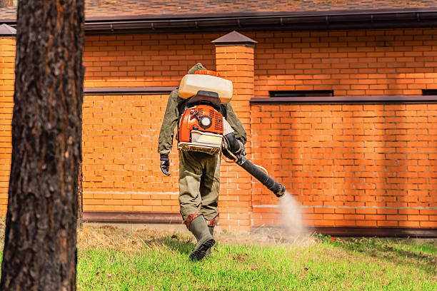 Trusted Bed Bug Control service in Larkfield-Wikiup, CA - Nex Pest Control